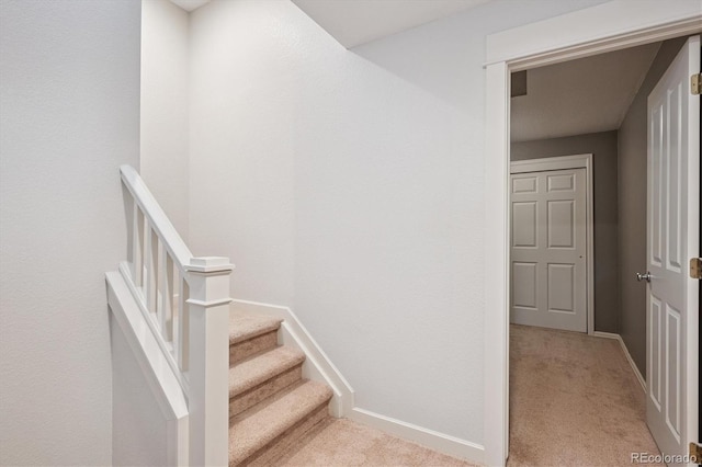 10955 Dearborne Dr, Parker, CO 80134 - stairway featuring carpet flooring and baseboards