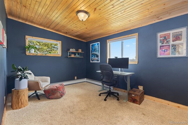 24030 San Isabel Rd, Indian Hills, CO 80454 - photo 18