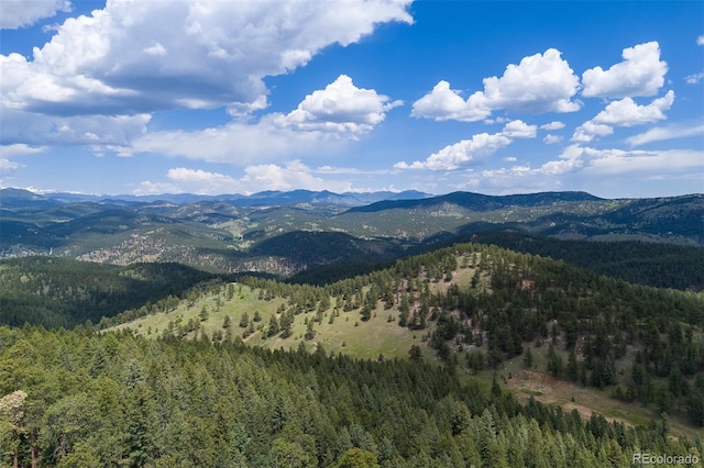 24030 San Isabel Rd, Indian Hills, CO 80454 - photo 47