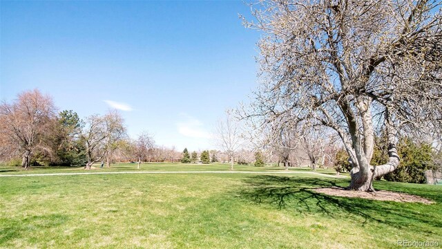 181 S Monaco Pkwy, Denver, CO 80224 - photo 29