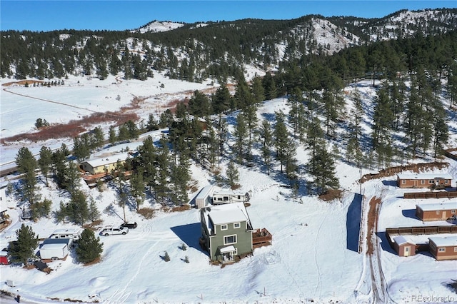 snowy aerial view featuring a mountain view