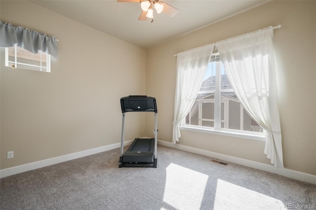 exercise room with ceiling fan and carpet flooring