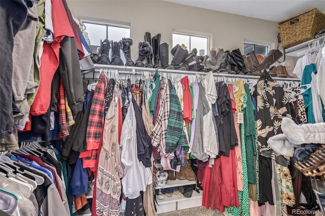 view of walk in closet