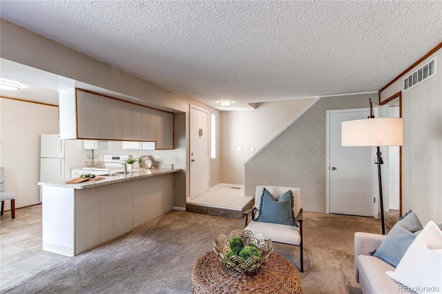 living room with light carpet, sink, crown molding, and a textured ceiling