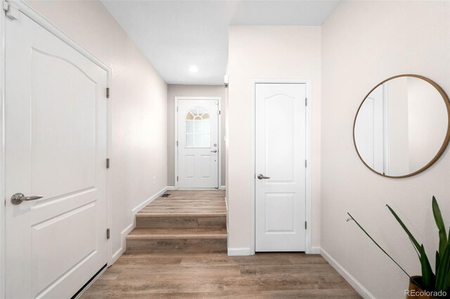 3930 Beechwood Ln, Johnstown, CO 80534 - photo 25