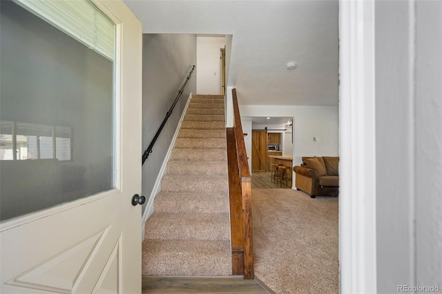 306 Elk Ln Unit 3B, Grand Lake, CO 80447 - photo 17