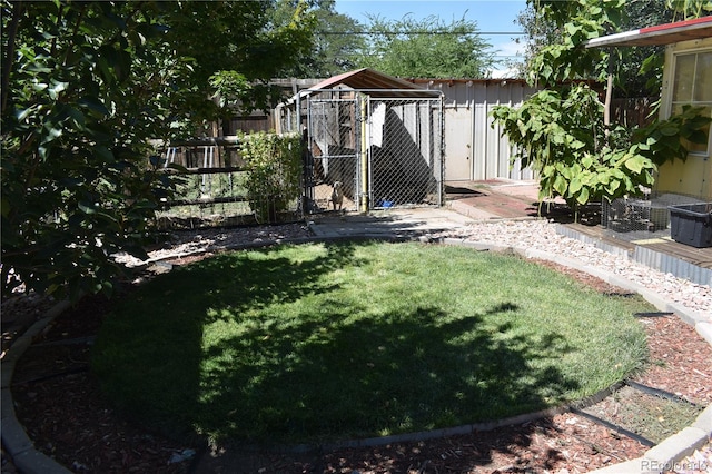 view of yard with a storage shed