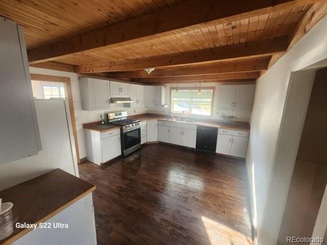 kitchen with white cabinetry, black dishwasher, a wealth of natural light, and stainless steel stove