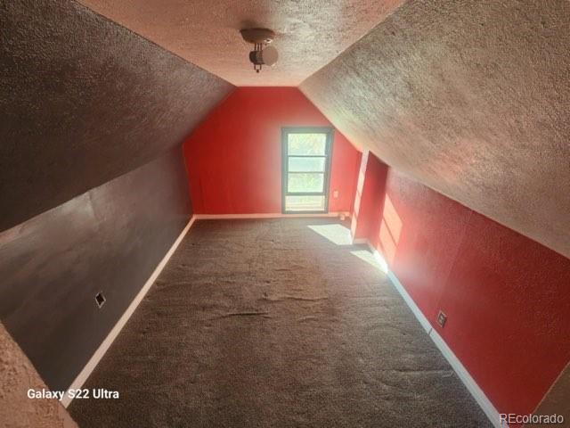 additional living space with a textured ceiling, carpet flooring, and vaulted ceiling