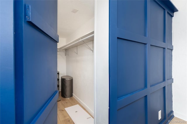 spacious closet featuring light wood-style floors