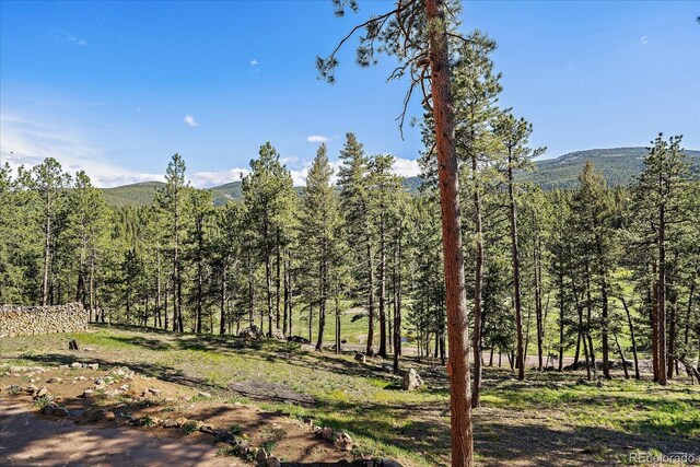 34 Normandy Rd, Evergreen, CO 80439 - photo 35