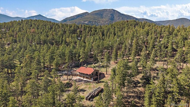 34 Normandy Rd, Evergreen, CO 80439 - photo 40