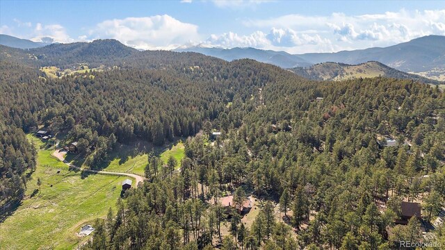 34 Normandy Rd, Evergreen, CO 80439 - photo 41