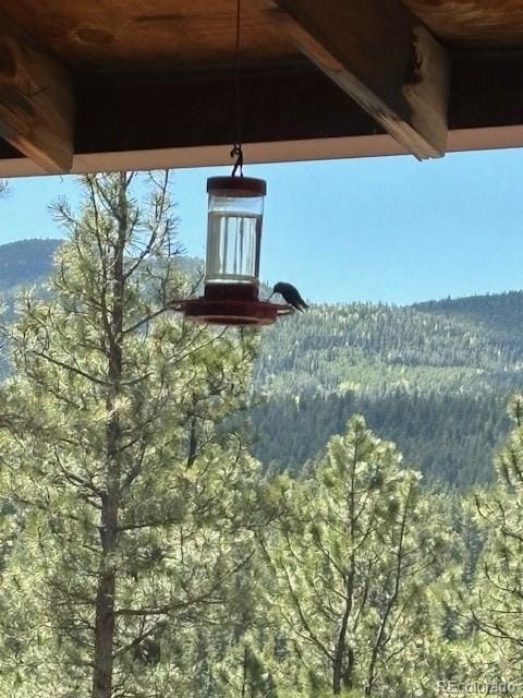 34 Normandy Rd, Evergreen, CO 80439 - photo 44