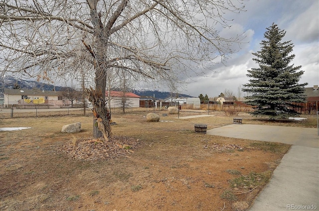 view of yard featuring a patio area