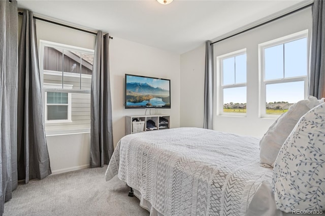 1381 Siltstone St, Erie, CO 80516 - photo 19