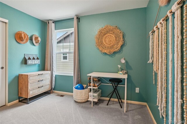 1381 Siltstone St, Erie, CO 80516 - photo 22