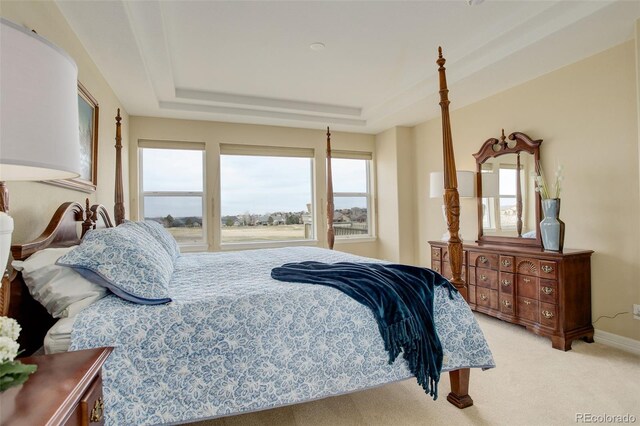 15004 Verbena St, Thornton, CO 80602 - bedroom with a raised ceiling, carpet, and baseboards
