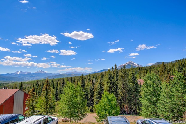9800 Ryan Gulch Rd Unit A-101, Silverthorne, CO 80498 - view of mountain backdrop with a forest