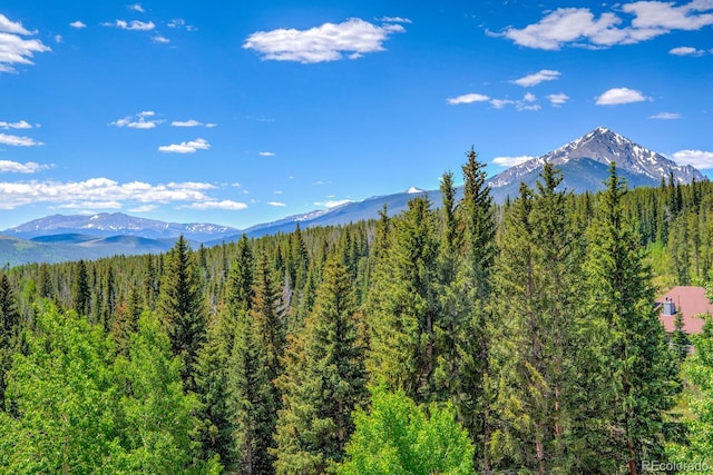 9800 Ryan Gulch Rd Unit A-101, Silverthorne, CO 80498 - view of mountain background with a heavily wooded area