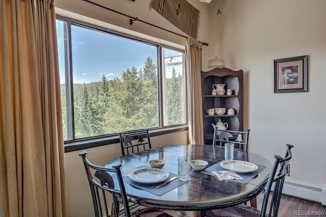 9800 Ryan Gulch Rd Unit A-101, Silverthorne, CO 80498 - dining room featuring dark wood-type flooring and baseboard heating