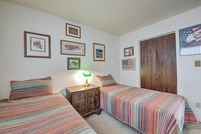 9800 Ryan Gulch Rd Unit A-101, Silverthorne, CO 80498 - bedroom featuring carpet flooring and a closet
