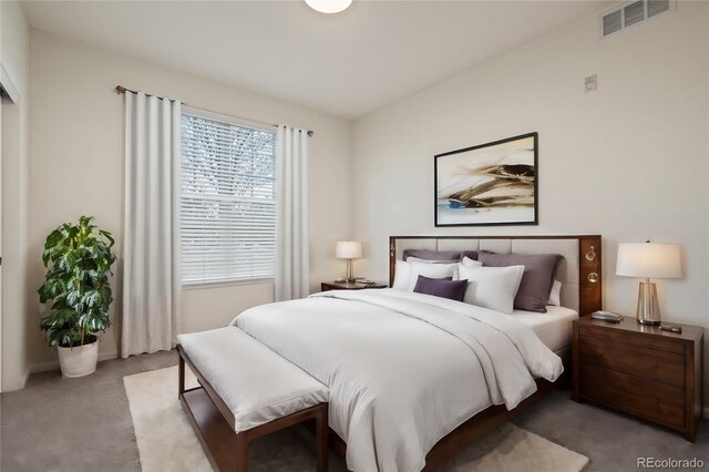 9907 Martin Luther King Blvd Unit 103, Denver, CO 80238 - view of carpeted bedroom