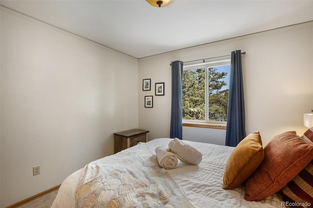 bedroom with carpet floors