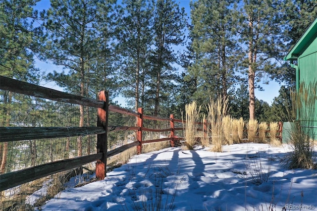 view of yard covered in snow