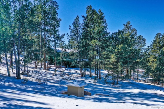 view of yard covered in snow