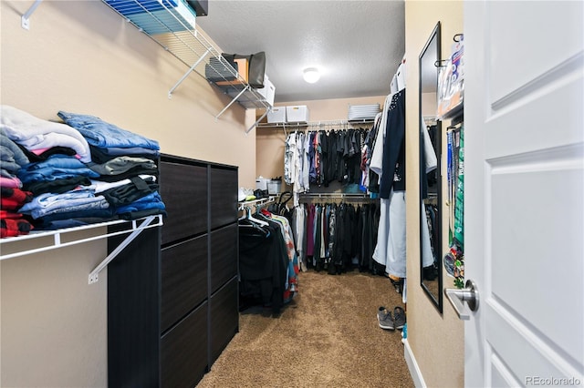 spacious closet featuring carpet floors