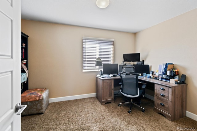 office featuring baseboards and carpet