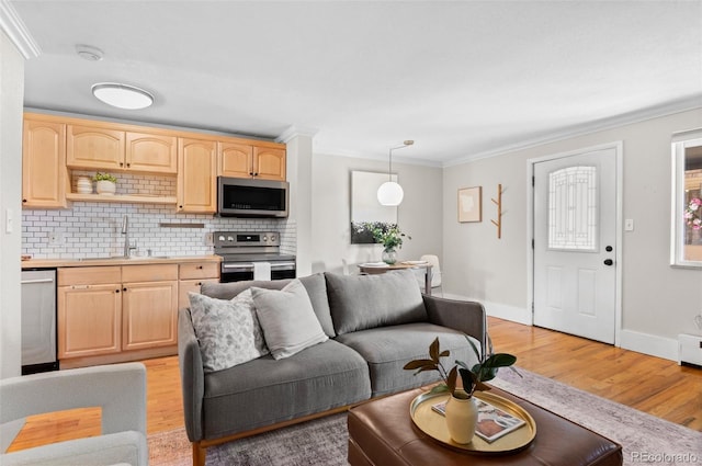 558 N Washington St Unit 305, Denver, CO 80203 - living room with light wood-type flooring, crown molding, baseboards, and plenty of natural light