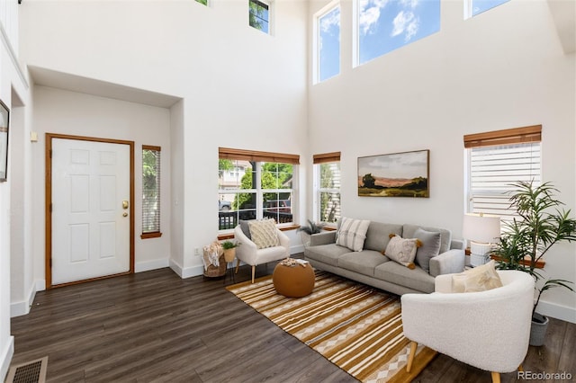 9610 S Dover Way, Littleton, CO 80127 - living room with a high ceiling and dark wood-style flooring