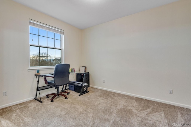 office featuring carpet and baseboards