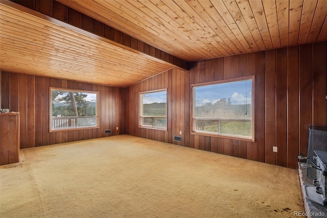 150 Apache Trl, Woodland Park, CO 80863 - unfurnished living room featuring wooden ceiling, carpet flooring, and wooden walls