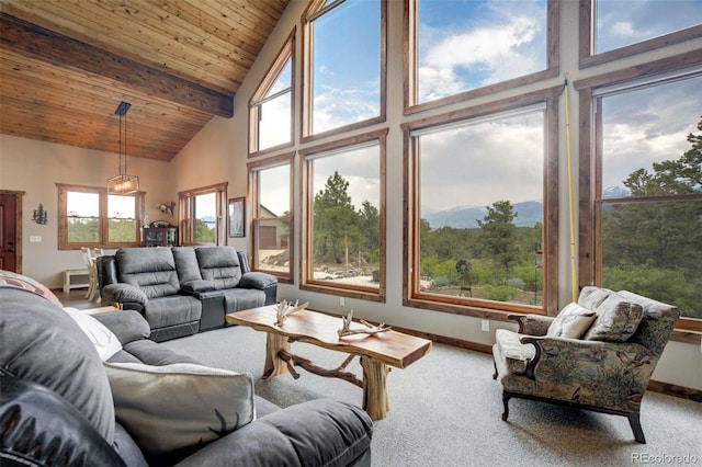 1310 Sunrise Rdg, Cotopaxi, CO 81223 - photo 11