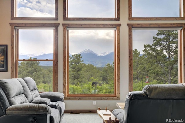 1310 Sunrise Rdg, Cotopaxi, CO 81223 - photo 12