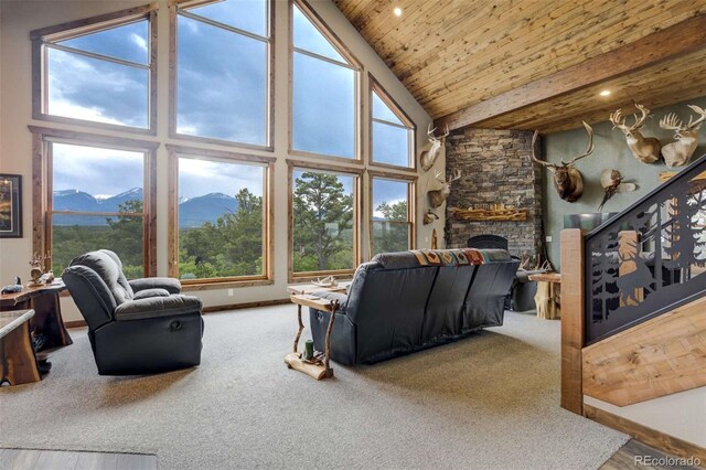 1310 Sunrise Rdg, Cotopaxi, CO 81223 - photo 13