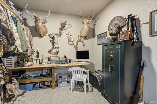 1310 Sunrise Rdg, Cotopaxi, CO 81223 - photo 27
