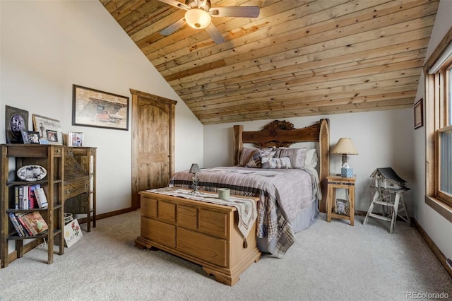 1310 Sunrise Rdg, Cotopaxi, CO 81223 - photo 29
