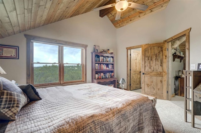 1310 Sunrise Rdg, Cotopaxi, CO 81223 - photo 30