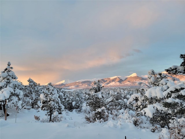 1310 Sunrise Rdg, Cotopaxi, CO 81223 - photo 42