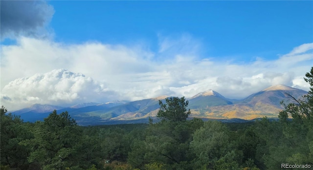 1310 Sunrise Rdg, Cotopaxi, CO 81223 - photo 43
