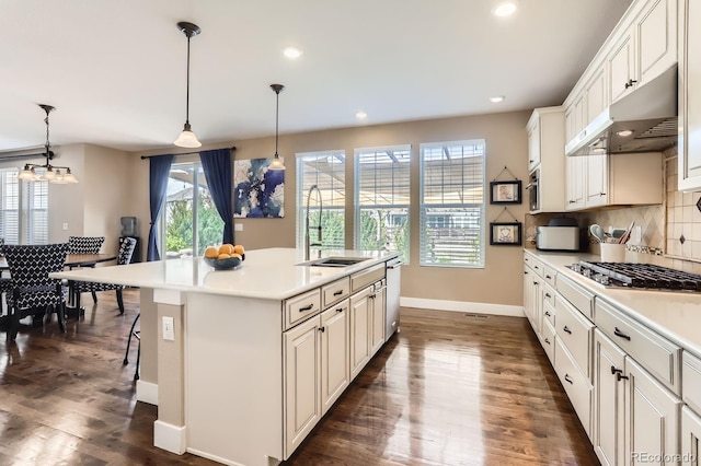 2165 Summerlin Ln, Longmont, CO 80503 - kitchen with under cabinet range hood, a sink, baseboards, dark wood finished floors, and appliances with stainless steel finishes