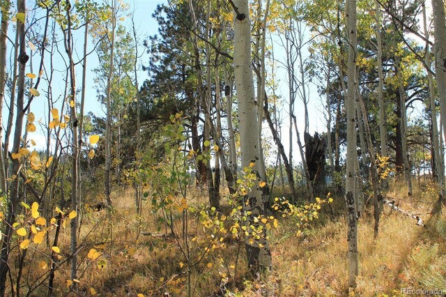 54 Elkhorn Ln, Florissant, CO 80816 - photo 4
