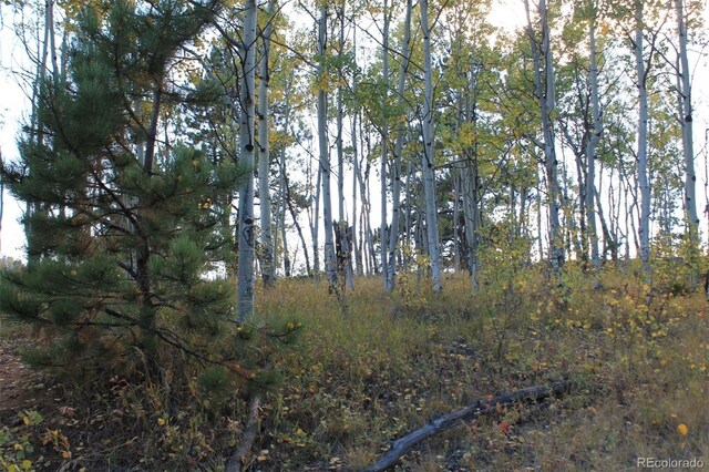 54 Elkhorn Ln, Florissant, CO 80816 - photo 7