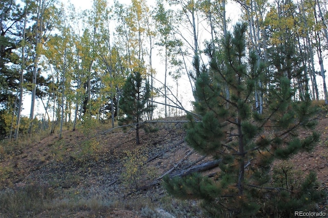 54 Elkhorn Ln, Florissant, CO 80816 - photo 8