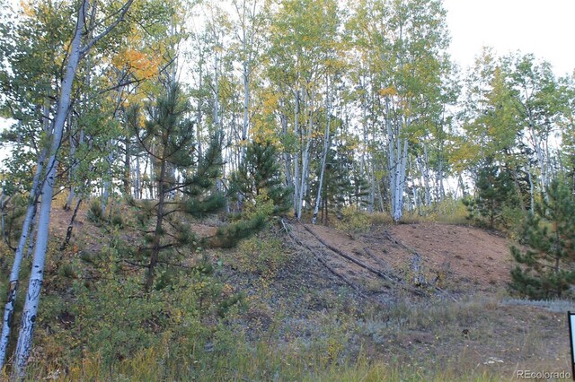 54 Elkhorn Ln, Florissant, CO 80816 - photo 9