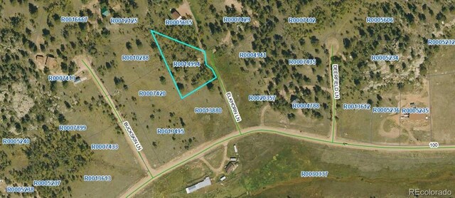 54 Elkhorn Ln, Florissant, CO 80816 - photo 10